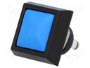 Switch: vandal resistant; Pos: 2; SPST-NO; 2A/36VDC; IP65; OFF-(ON)