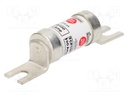 Fuse: fuse; 100A; 690VAC; 460VDC; ceramic,industrial; 26x111mm