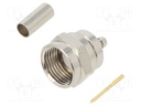 Plug; F; male; 75Ω; 1520A,1521A,1522A,179DT,B9221,RG161,RG179