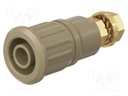 Socket; 4mm banana; 32A; 1kV; brown; gold-plated; on panel