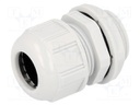 Cable gland; PG21; IP68; Mat: polyamide; light grey; UL94V-2