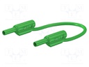 Test lead; 10A; 2mm banana plug-2mm banana plug; Urated: 600V