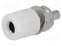 Socket; 4mm banana; 20A; Cutout: Ø7.5mm; white; nickel plated; 5mΩ