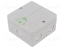 Enclosure: junction box; X: 93mm; Y: 93mm; Z: 55mm; polystyrene; IP65