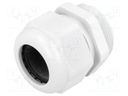 Cable gland; PG29; IP68; Mat: polyamide