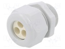 Cable gland