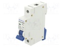 Circuit breaker; 10A; Poles: 1; for DIN rail mounting; Charact: B