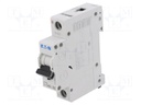 Circuit breaker; 230/400VAC; 250VDC; Inom: 40A; Poles: 1; DIN; 10kA