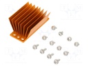 Heatsink: extruded; grilled; golden; L: 58mm; W: 23mm; H: 22.9mm