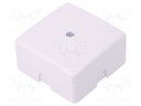 Enclosure: junction box; X: 60mm; Y: 60mm; Z: 30mm; polystyrene; IP41