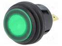 Switch: push-button; Pos: 2; SPST-NO; 6A/250VAC; green; green; IP65