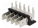 Terminal: spade terminal strip; 6.4mm; 0.8mm; THT; steel; tinned