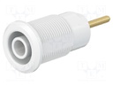 Socket; 4mm banana; 24A; 1kV; white; gold-plated; on panel