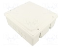 Enclosure: junction box; X: 170mm; Y: 190mm; Z: 80mm; wall mount