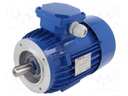 Motor: AC; 3-phase; 0.75kW; 230/400VAC; 2890rpm; 10.6kg; IP54