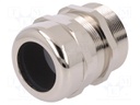 Cable gland; PG36; IP68; Mat: brass; Body plating: nickel