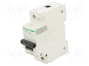 Circuit breaker; 230/400VAC; Inom: 100A; Poles: 1; DIN; Charact: C