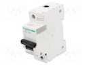 Circuit breaker; 230/400VAC; Inom: 125A; Poles: 1; DIN; Charact: C