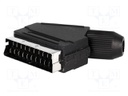 Connector: SCART; plug; male; angled; for cable