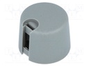 Knob; with pointer; plastic; Shaft d: 4mm; Ø20x16mm; grey