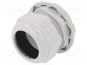 Cable gland; M63; IP68; Mat: polyamide; light grey