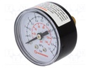 Manometer; BSP 1/8"; outside; Working pressure: 0÷10bar; Ø: 40mm