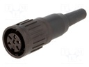 Plug; DIN; female; PIN: 6; straight; for cable; soldering; 300V; 5A