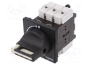 Main emergency switch-disconnector; Poles: 3; 25A; TeSys VARIO