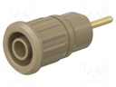 Socket; 4mm banana; 24A; 1kV; brown; gold-plated; on panel; 12.2mm