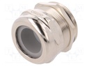 Cable gland; PG36; IP68; Mat: brass; Body plating: nickel