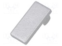 Cap for LED profiles; silver; ABS; Application: HI8