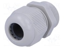 Cable gland; PG13,5; IP68; Mat: polyamide