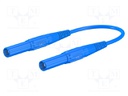 Test lead; 19A; 4mm banana plug-4mm banana plug; insulated; blue