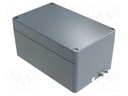 Enclosure: multipurpose; X: 100mm; Y: 160mm; Z: 81mm; aluminium; IP66