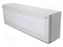 Enclosure: wall mounting; X: 200mm; Y: 600mm; Z: 125mm; BUS BG; IP65