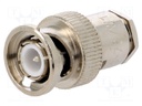 Plug; BNC; male; straight; 75Ω; RG59; clamp; for cable; teflon