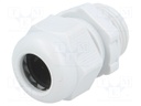 Cable gland; with metric thread; M20; IP68; Mat: polyamide