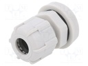 Cable gland; Mat: polyamide