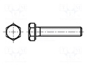 Screw; M5x20; DIN: 933; Head: hexagonal; none; brass; nickel