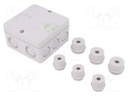 Enclosure: junction box; X: 94mm; Y: 94mm; Z: 56mm; polystyrene; IP54