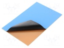 Laminate; FR4; 1.6mm; L: 160mm; W: 100mm; double sided