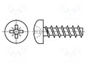 Screw; for plastic; 3,5x16; Head: cheese head; Pozidriv; steel