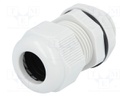 Cable gland; M20; IP68; Mat: polyamide; grey; UL94V-2; 19.5mm