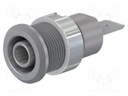 Socket; 4mm banana; 32A; 1kV; Cutout: Ø12.2mm; grey; nickel plated