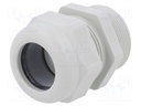 Cable gland; with thread PG,with long thread; PG29; IP68