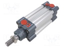 Profile cylinder; Piston diam: 20mm; Piston stroke: 50mm; 1÷10bar