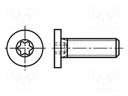 Screw; M4x8; Head: cheese head; Torx®; steel; zinc; TX10