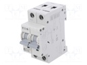 Circuit breaker; 230/400VAC; Inom: 6A; Poles: 2; DIN; Charact: B; 6kA