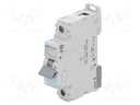 Circuit breaker; 230/400VAC; Inom: 13A; Poles: 1; DIN; Charact: C