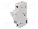 Fuse disconnector; 10,3x38mm; Mounting: for DIN rail mounting